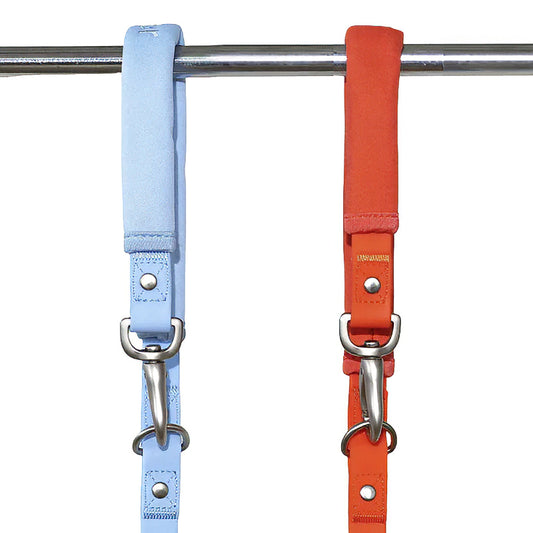Poly Flex Dog Leash - 2 color option