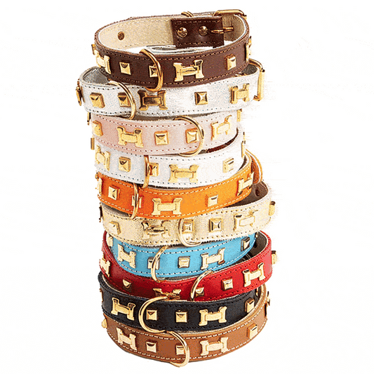 "H" Dog Collar - French Dog Collar, 10 Color Options