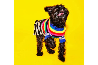 Dog Sweater - Mixed Up Stripes