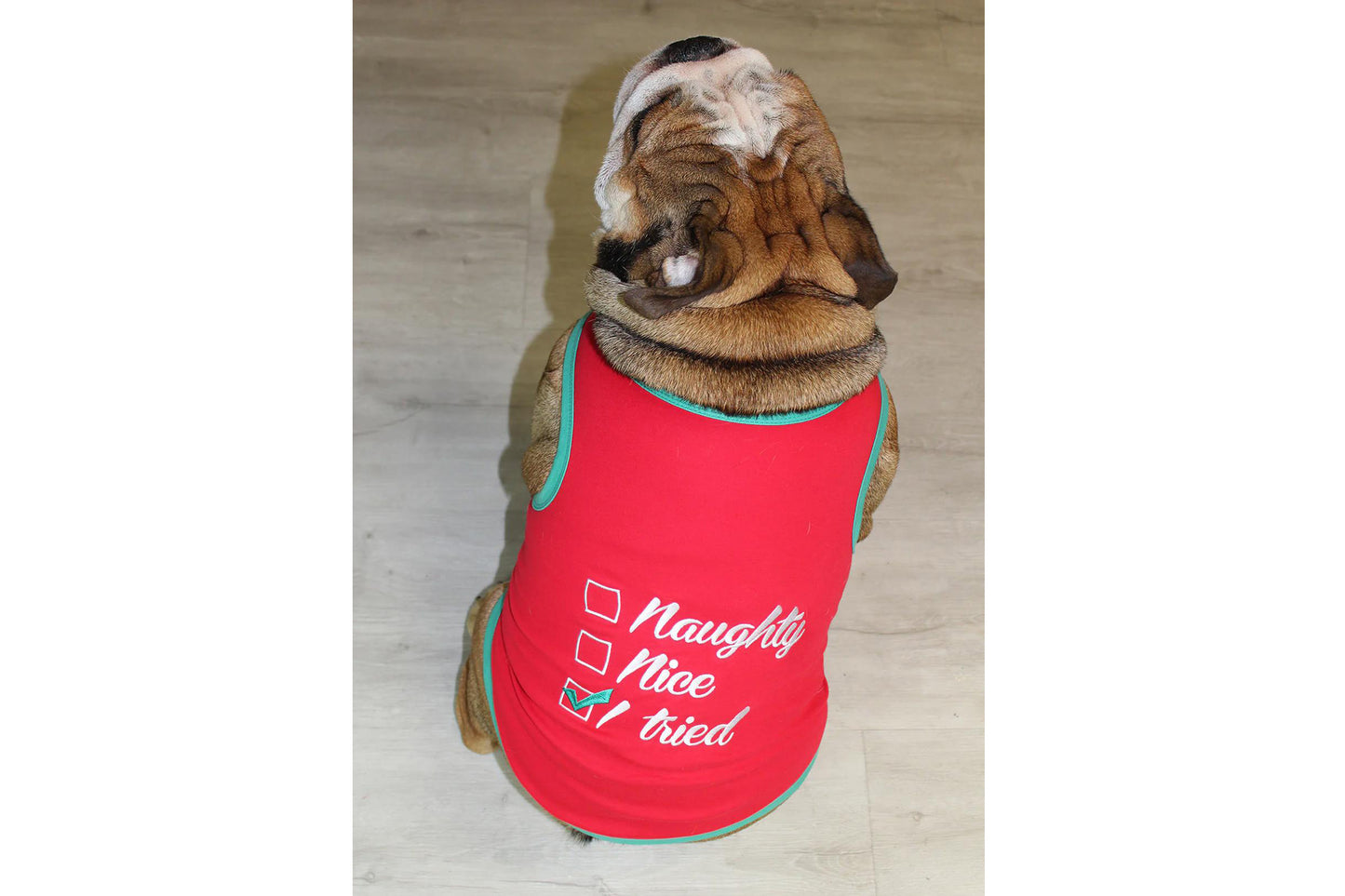 Christmas - Naughty or Nice - Dog Tee Shirt