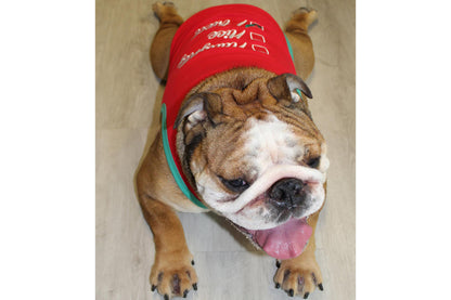 Christmas - Naughty or Nice - Dog Tee Shirt