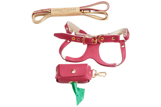 Canine Styles Leather Step-in Harness - Three Piece Set - (Nylon/Leather Lead), leather harness & Leather Poop Bag Holder  - 10 Color Options