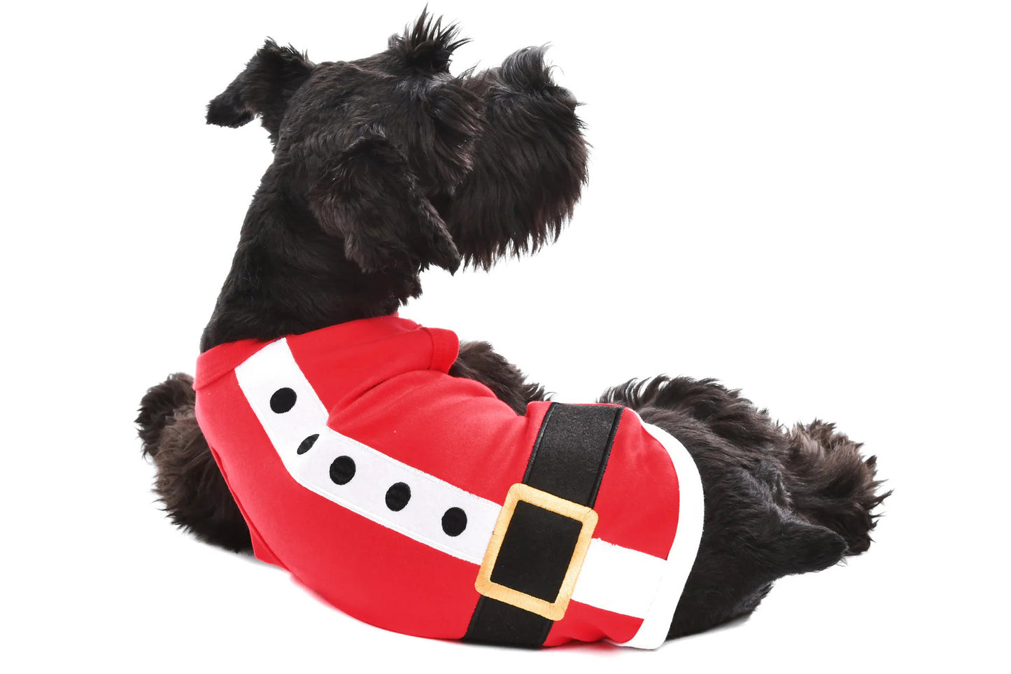 Christmas - Holiday - Santa Dog Tee Shirt