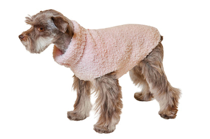 Miniature Schnauzer wearing a Chenille Rag Sweater in light pink