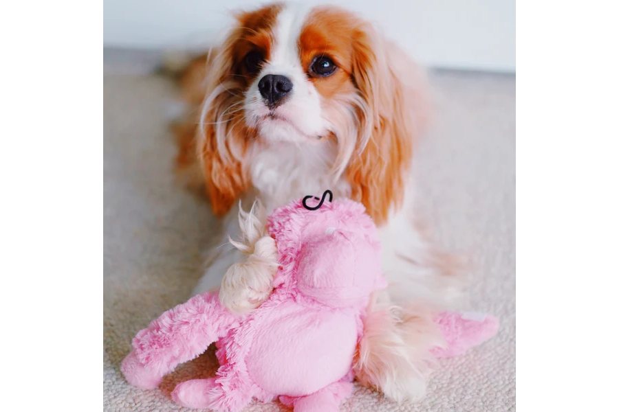 Dog Toy - 8" Pastel Gorilla