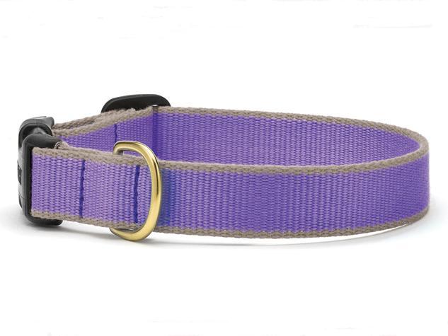 Market Collection Collars - 7 Color Ways - Monogram Collars Available