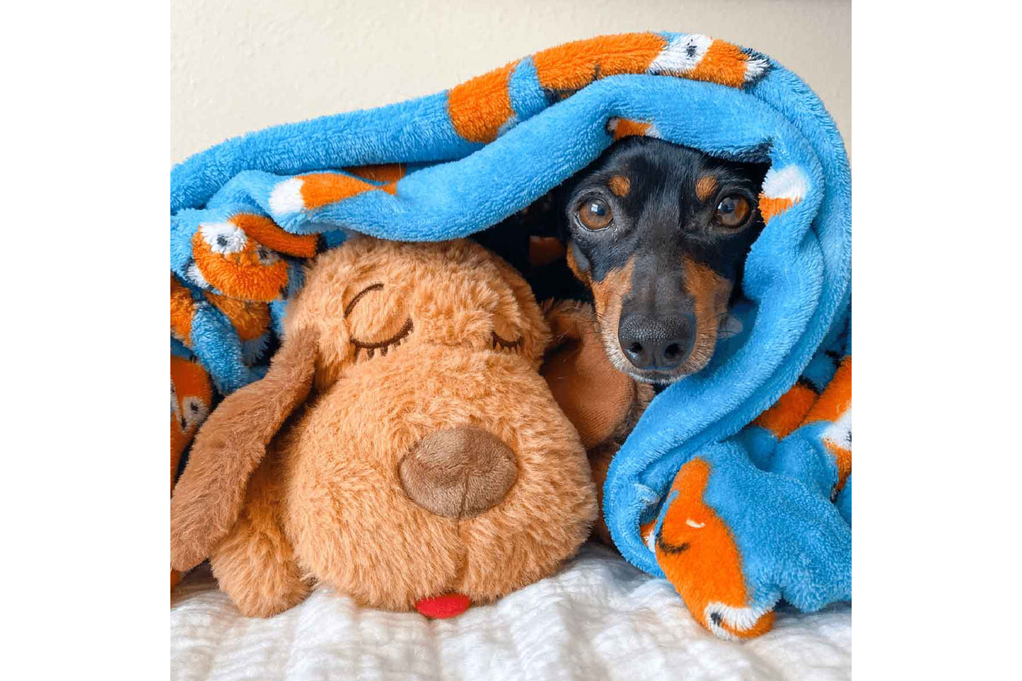 Dog Toy - Original Snuggle Puppy®, Biscuit