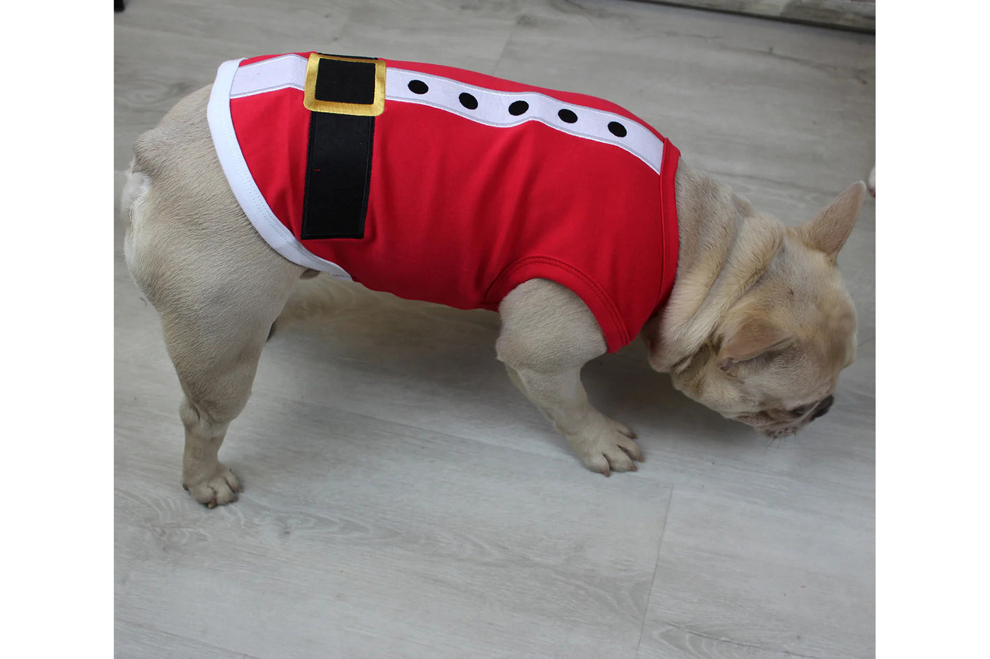 Christmas - Holiday - Santa Dog Tee Shirt