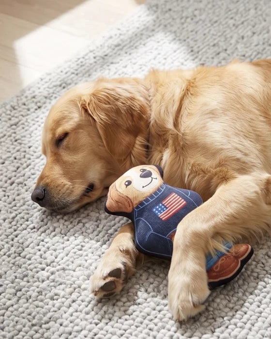 Ruff Lauren Teddy Dog - Dog Toy