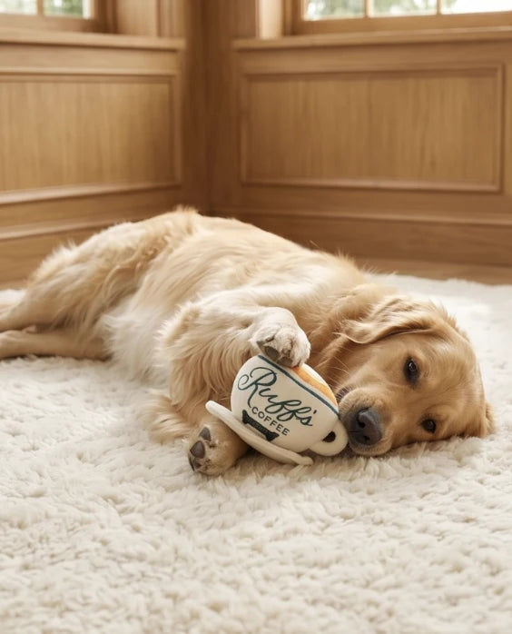 Ruff's Coffee Cup + Saucer - Dog Toy
