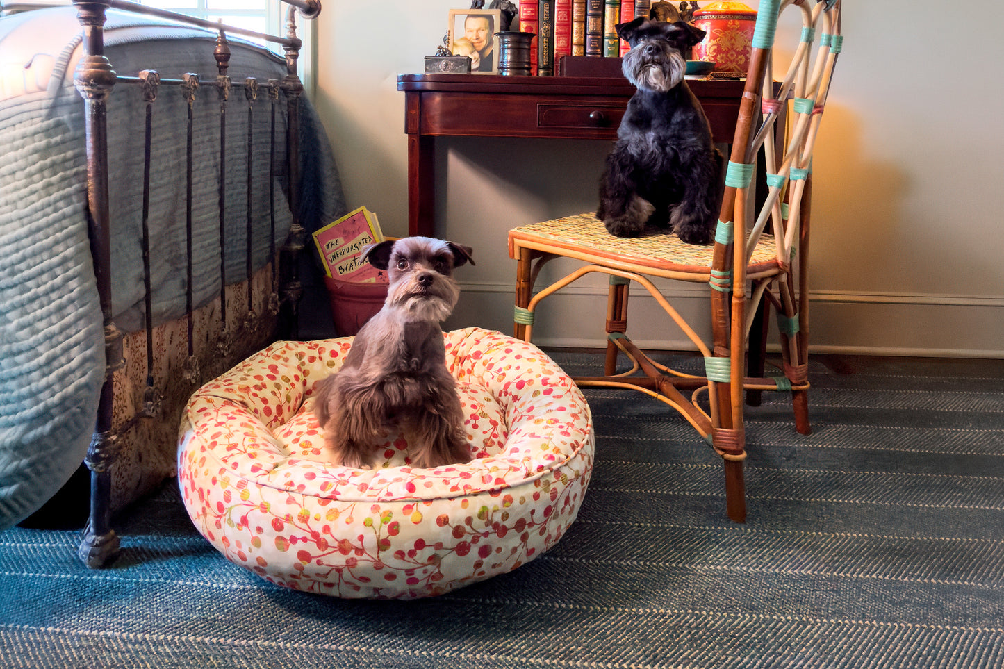 Canine Styles - Sherbert - Dog Bed