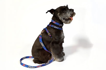 Signature Plaid Collection - Dog Collars, Harnesses & Leads - Blue Plaid