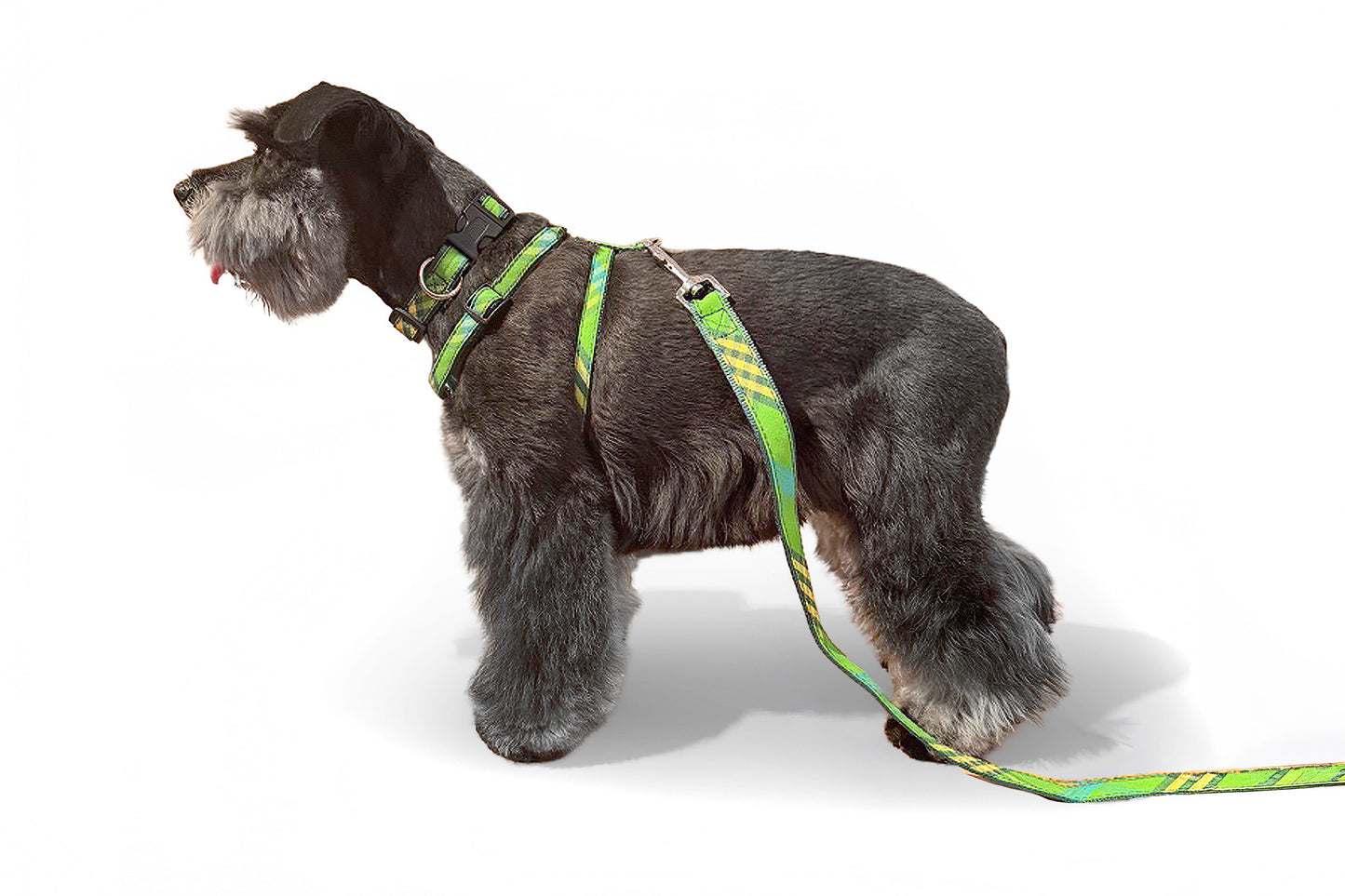 Signature Plaid Collection - Dog Collar, Harnesses, & Leads - Green Plaid