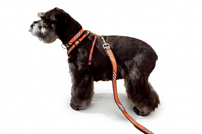 Signature Plaid Collection - Collars, Harnesses & Leads - Orange Plaid