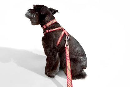 Signature Plaid Collection - Collar, Harness, & Lead - Red Plaid