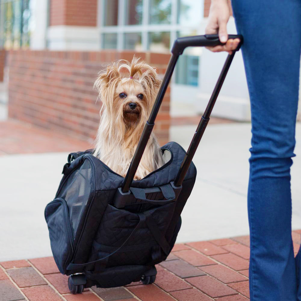 Snoozer Roll Around 4-in-1 Pet Carrier - Black