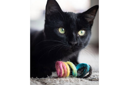 Cat Toy - Rainbow Spring Eco Toy
