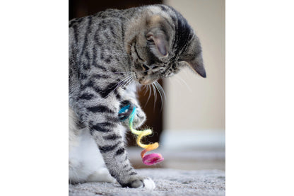 Cat Toy - Rainbow Spring Eco Toy