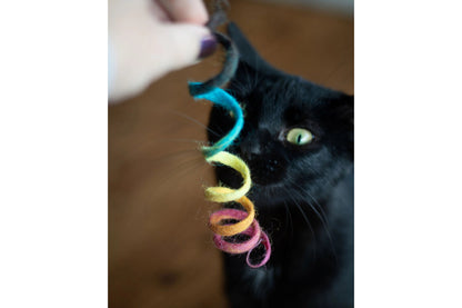 Cat Toy - Rainbow Spring Eco Toy