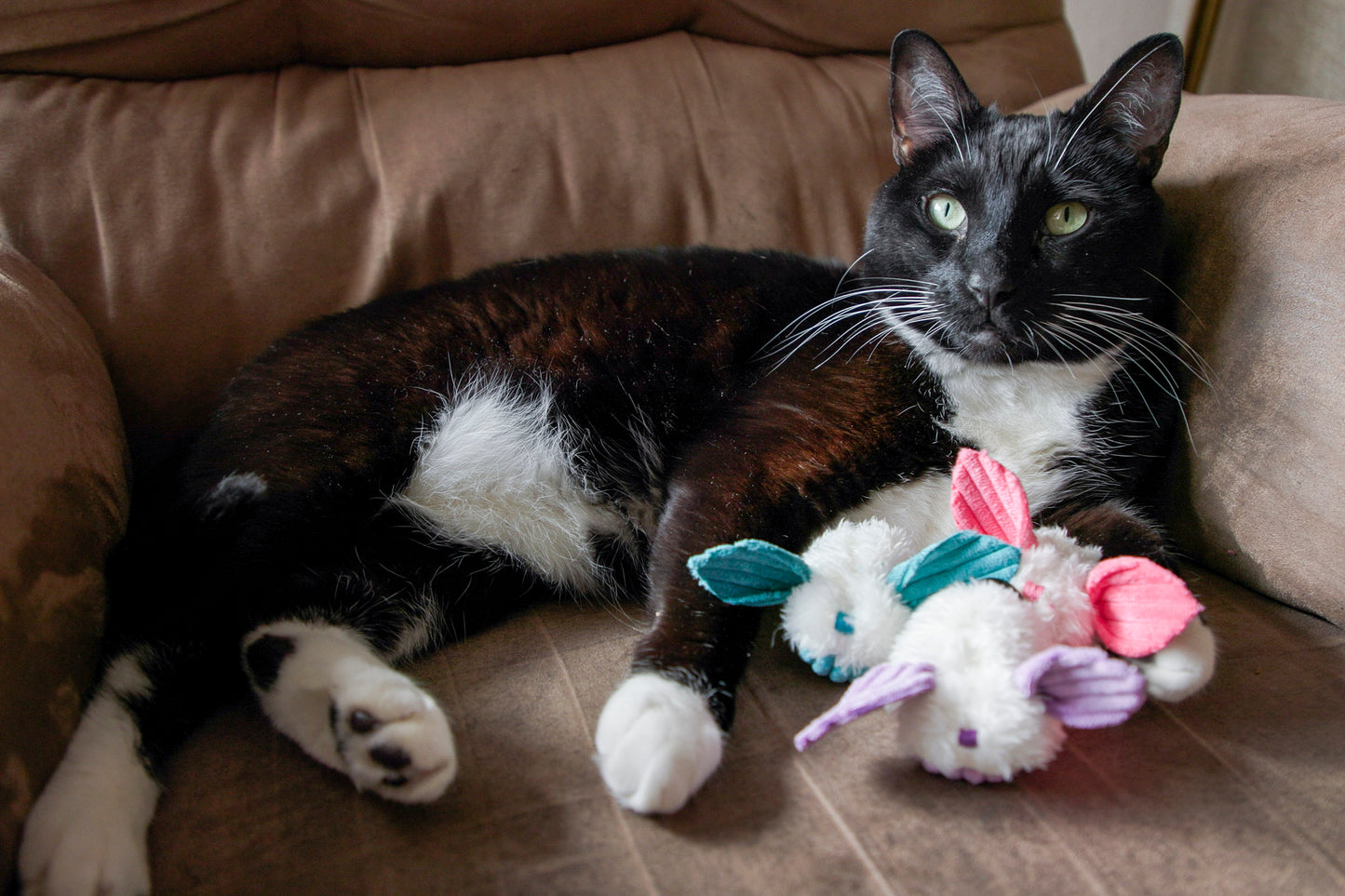 Cat Toy - HuggleKats Dust Bunnies Cat Toys - 3 pack