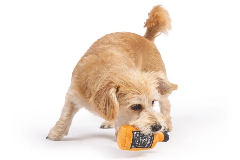 Dog Toy - Miniz Tuff Bad Dog Jack's Whiskey