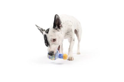 Dog Toy - Mini Tuff Fido Loco Tequila