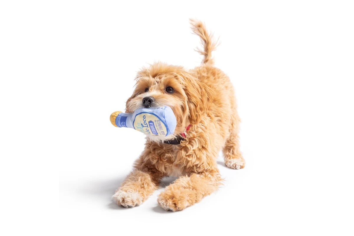 Dog Toy - Mini Tuff Fido Loco Tequila