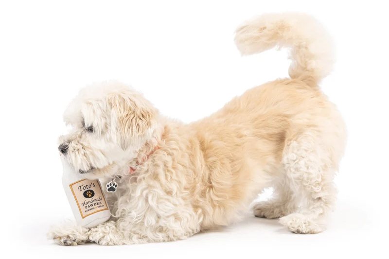Dog Toy - Miniz Tuff Toto's Pawdka