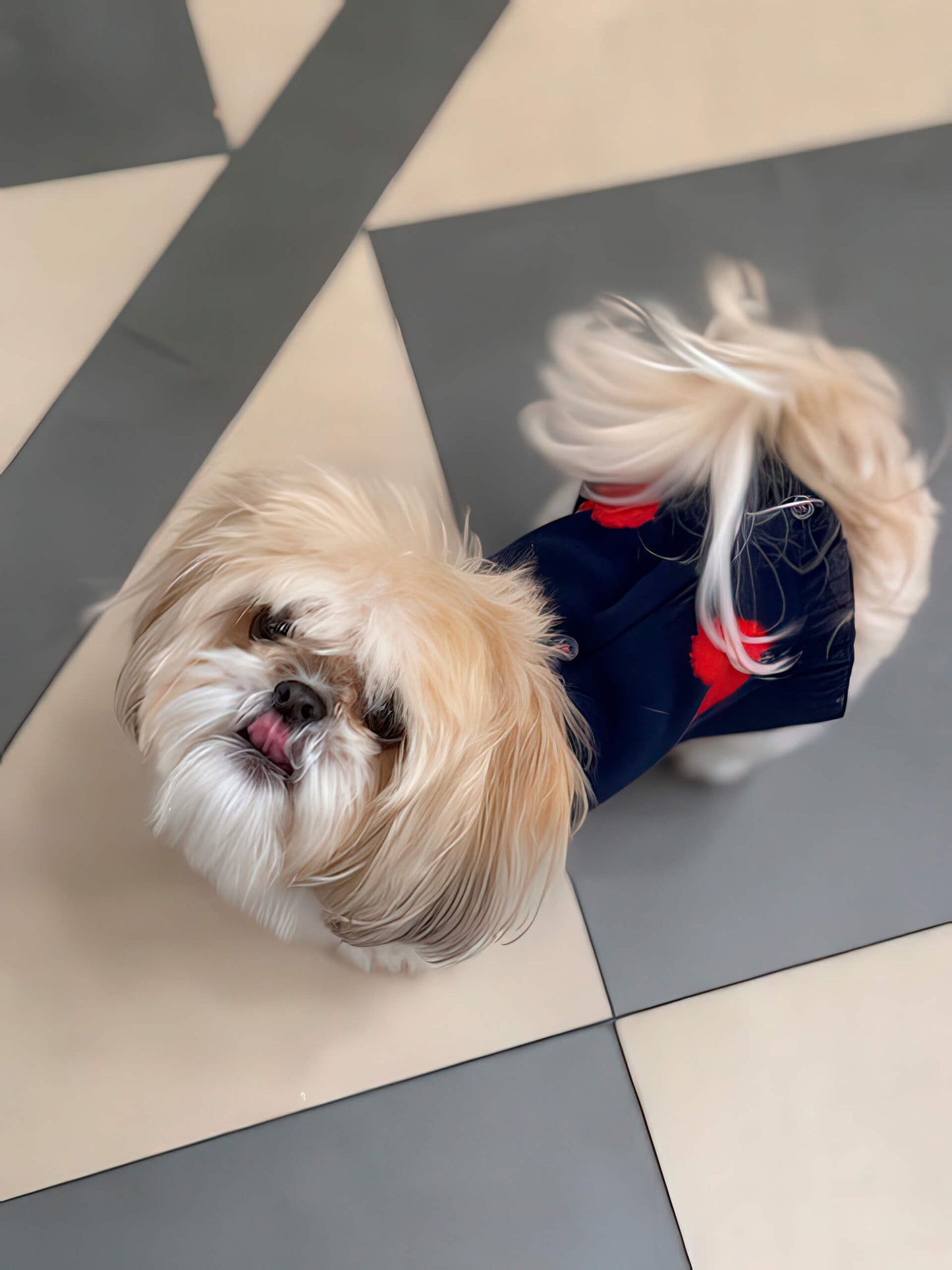 Wool Dog Sweater - Heart Sweater - 2 Color Option - Navy & Gray