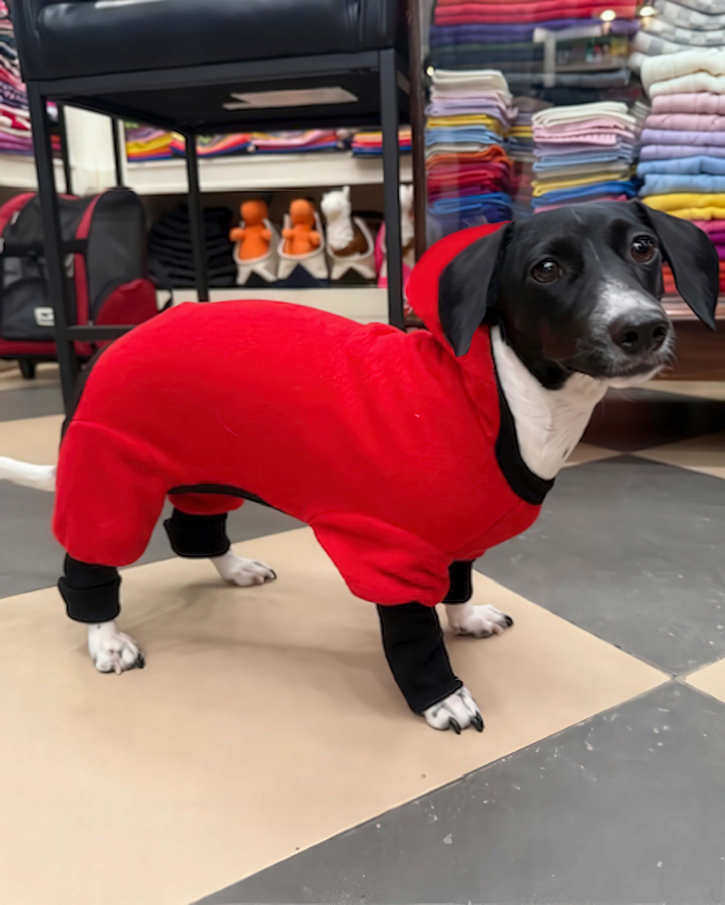 Track Suit - Polar Fleece - 5 Color Options