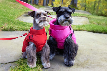 Down Harness Puffer Coat - 4 Color Options