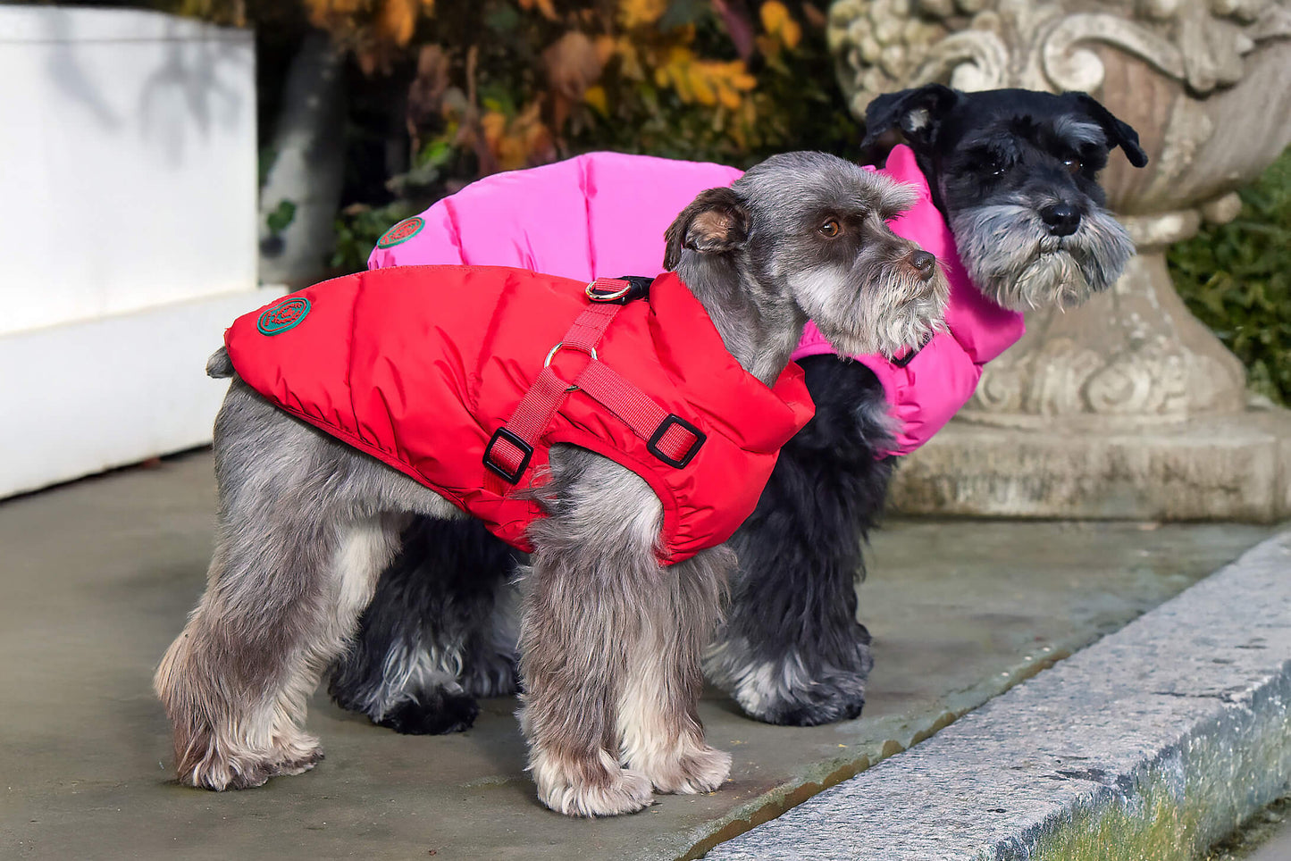 Down Harness Puffer Coat - 4 Color Options