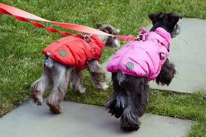 Down Harness Puffer Coat - 4 Color Options