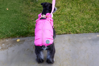 Down Harness Puffer Coat - 4 Color Options