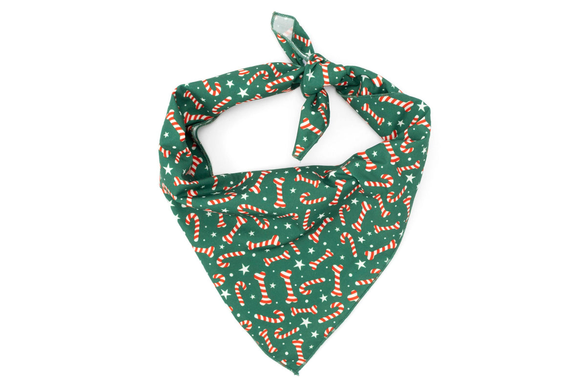 Christmas - Candy Cane Bandana