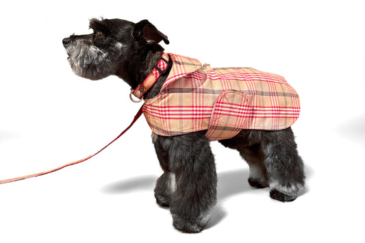 Dog Coat - Raincoat Waxed Signature Red Plaid