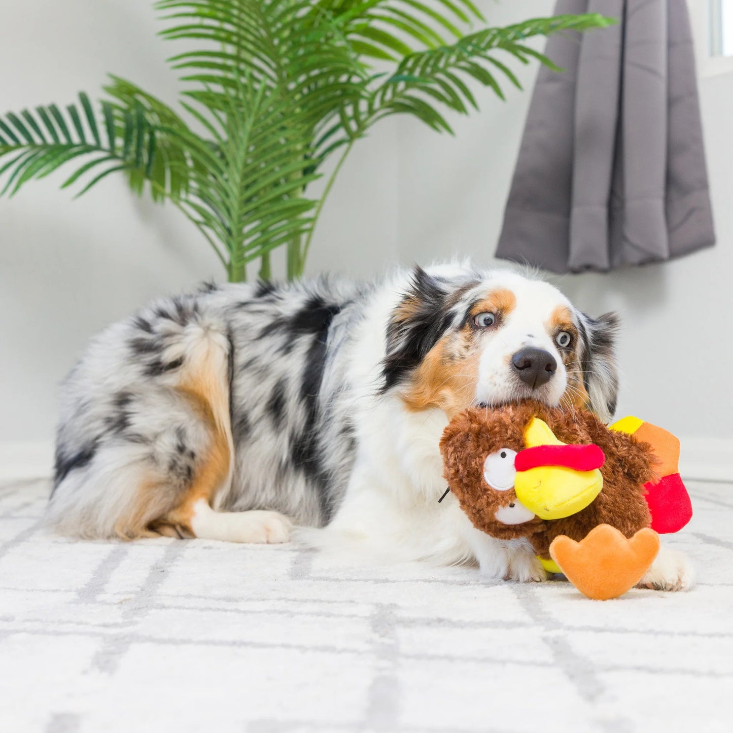 Thanksgiving - Wishbone Turkey Dog Toy
