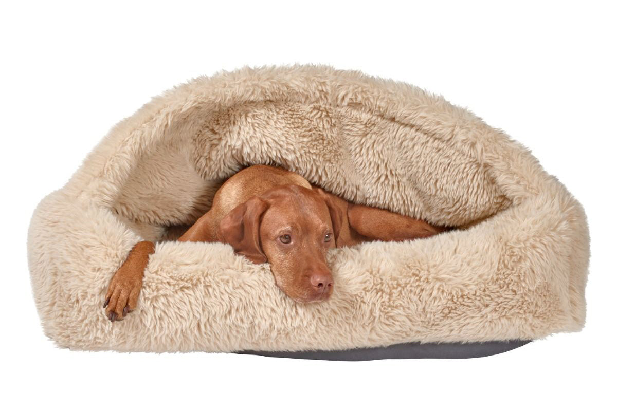 Canopy Cozy - Fluffernutter - Dog Bed
