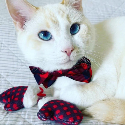 Feline - Cat Toy - Mittens For Kittens