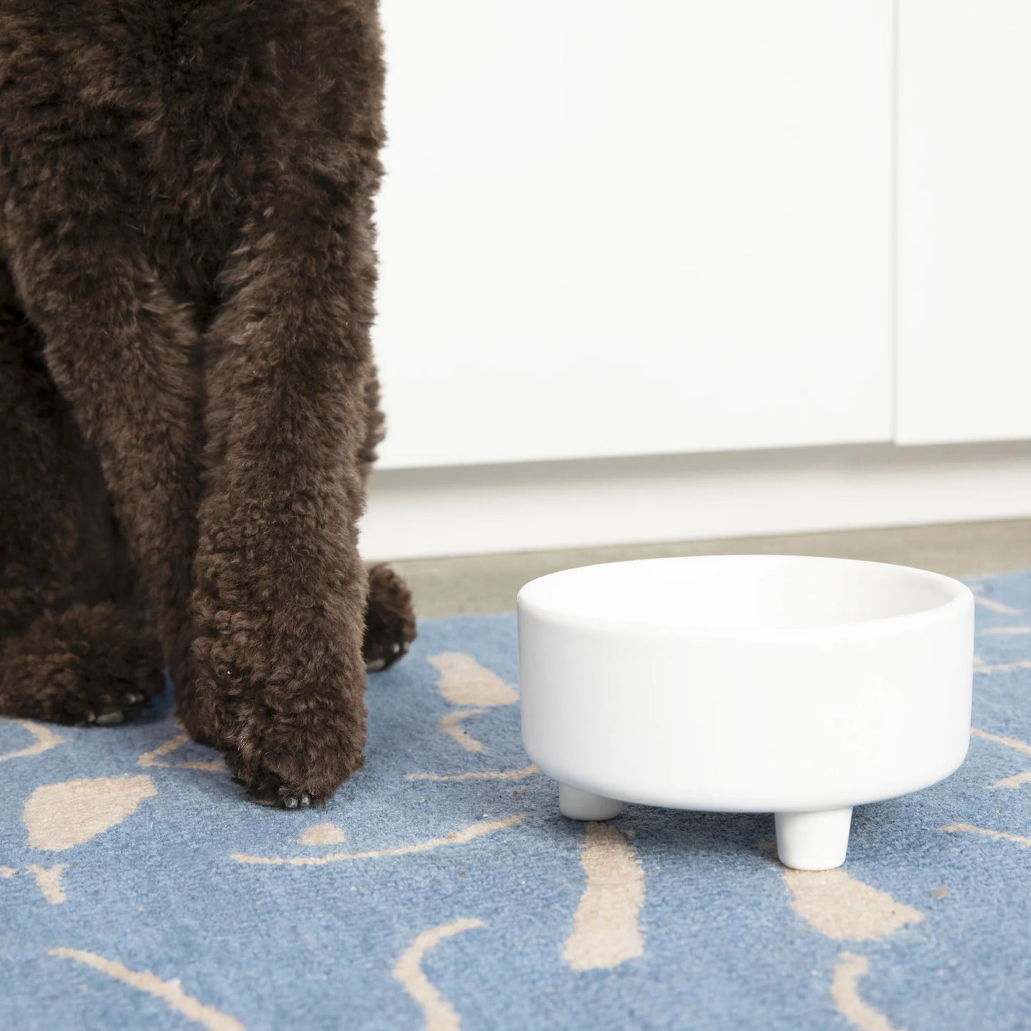 Footed Ceramic Dog Bowls - 2 Sizes