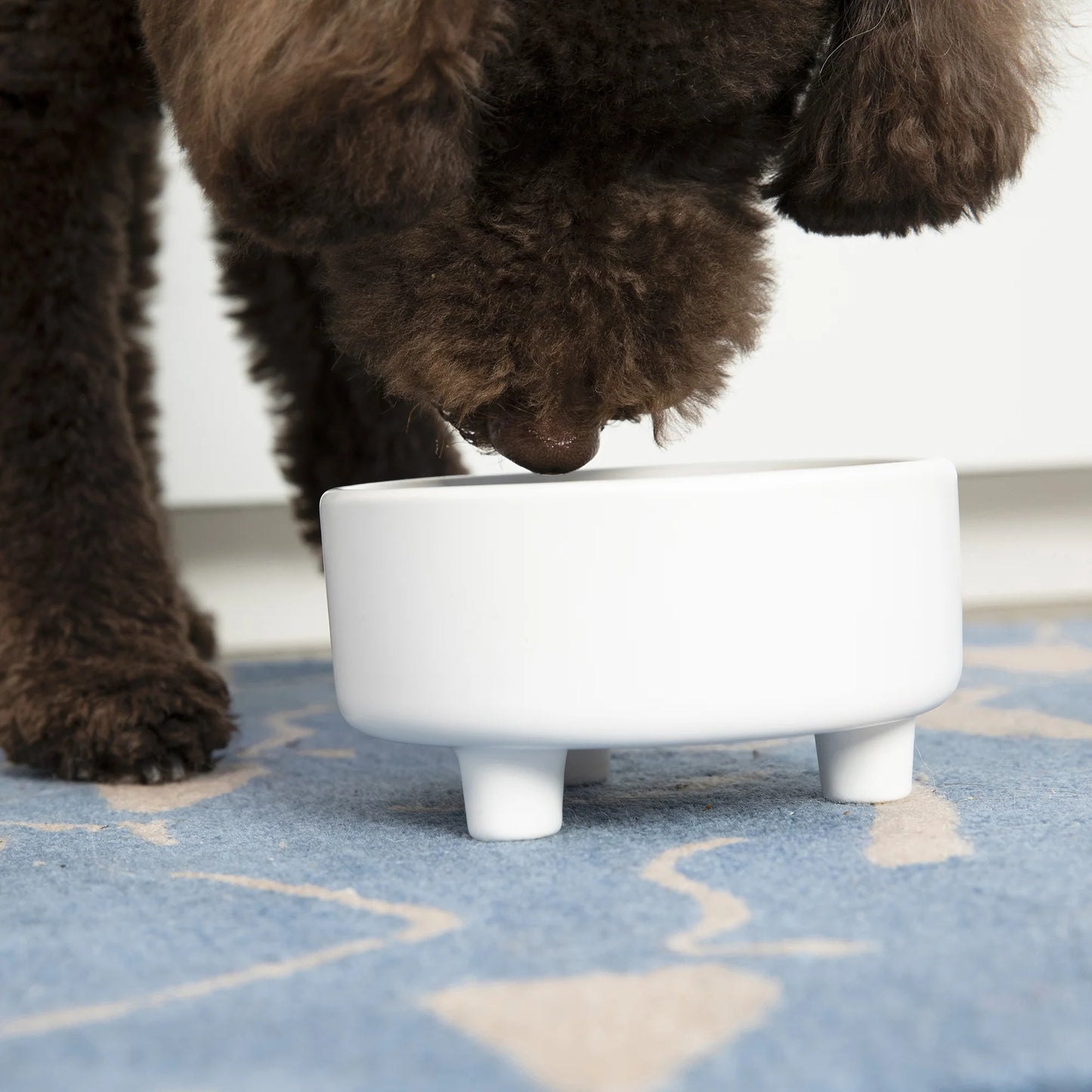 Footed Ceramic Dog Bowls - 2 Sizes