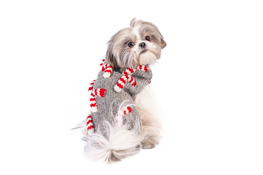 Christmas - Holiday - Gray Candy Cane Dog Sweater