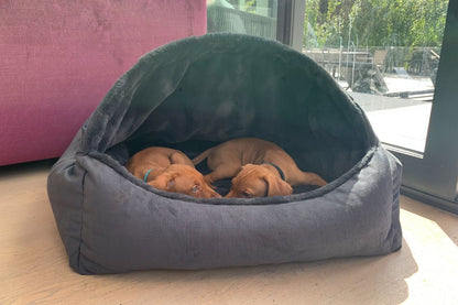 Canopy Bed - Galaxy - Dog Bed