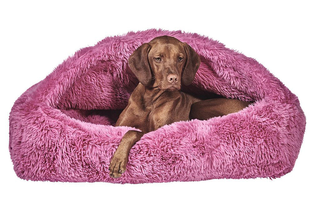 Canopy Cozy - Cherry Blossom - Dog Bed