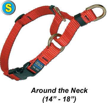 Cetacea Soft Martingale - Small