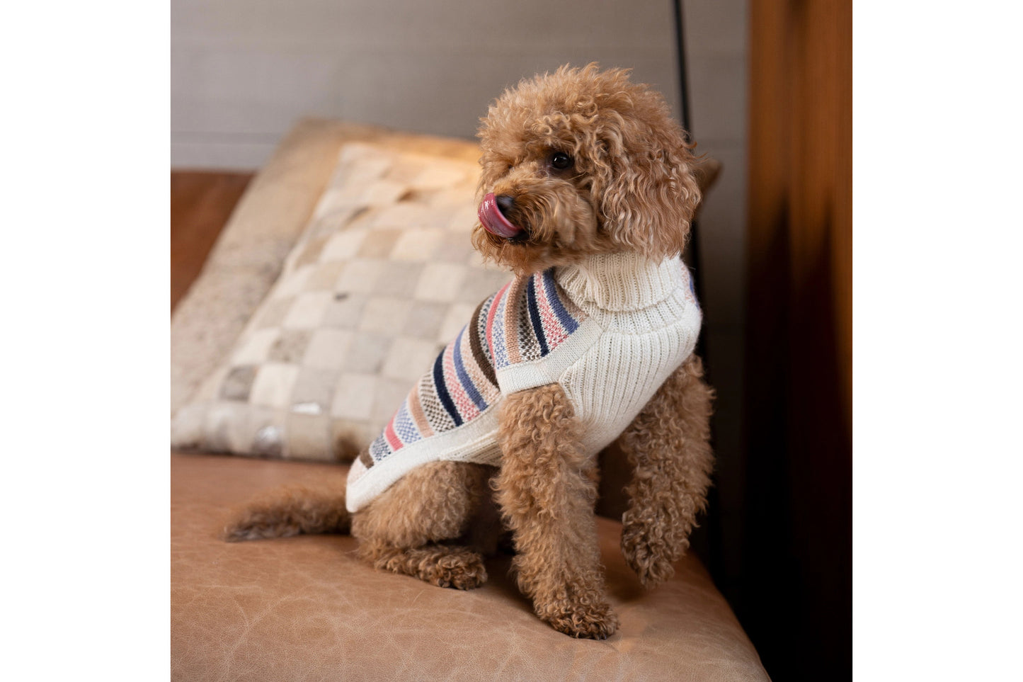 Dog Sweater - Blushline Stripe Alpaca Dog Sweater