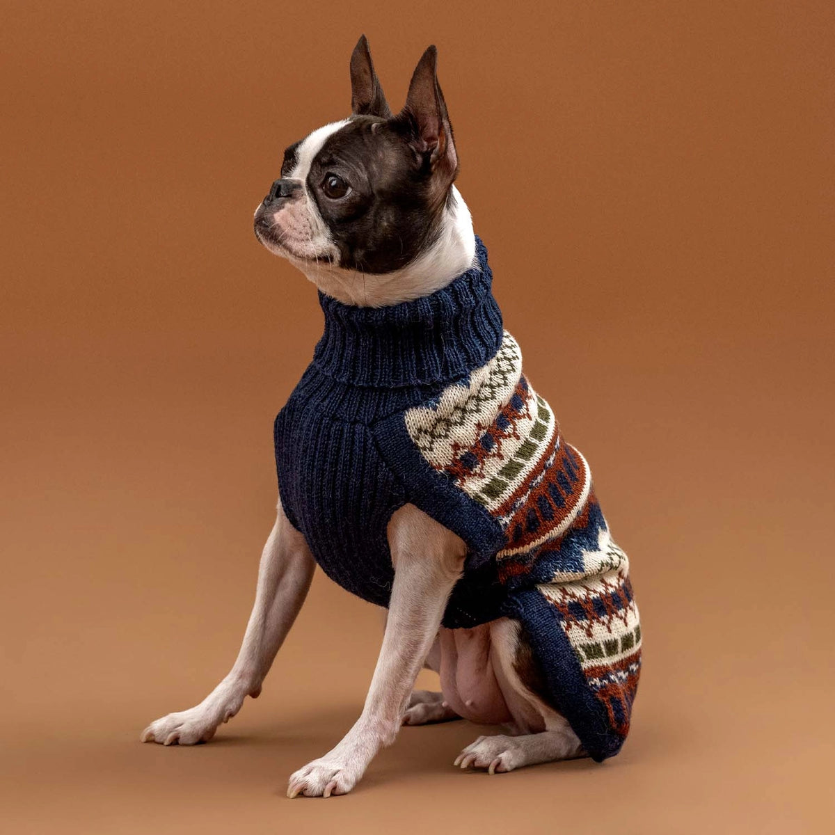 Dog Sweater - Iceberg Alpaca Dog Sweater
