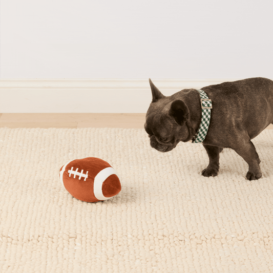Dog Toy - Football Interactive Snuffle Dog Toy