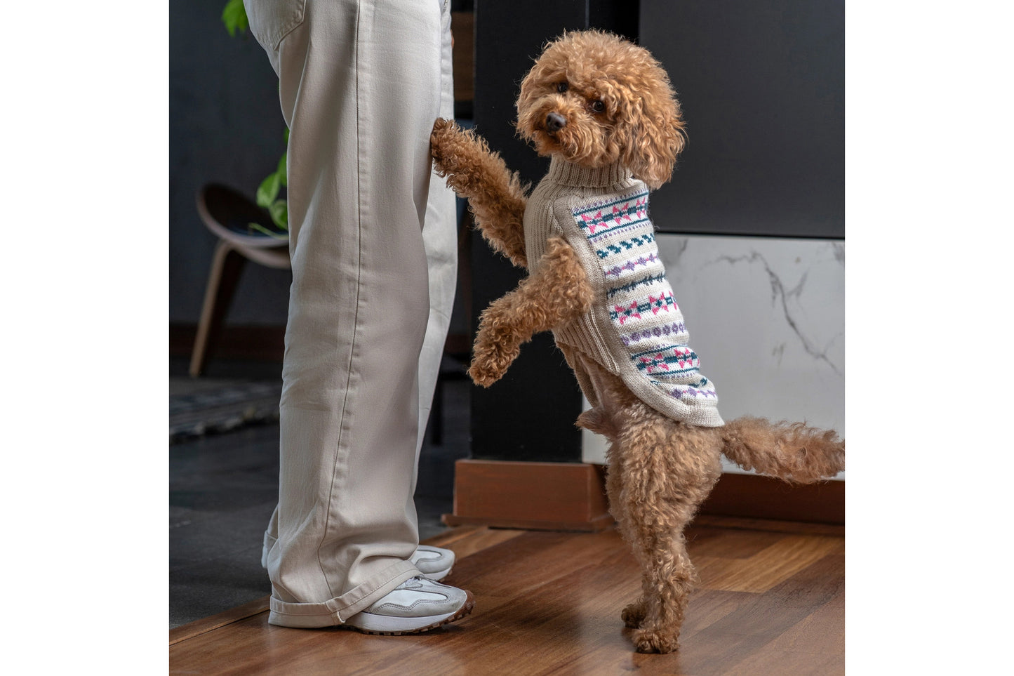 Dog Sweater - Serendipity Alpaca Dog Sweater