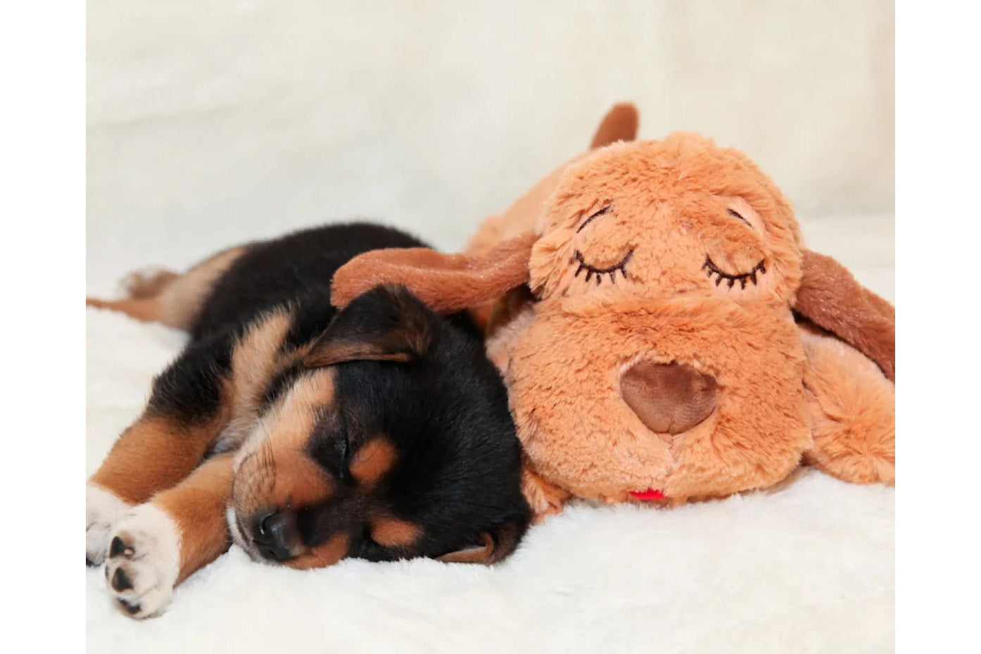 Dog Toy - Original Snuggle Puppy®, Biscuit